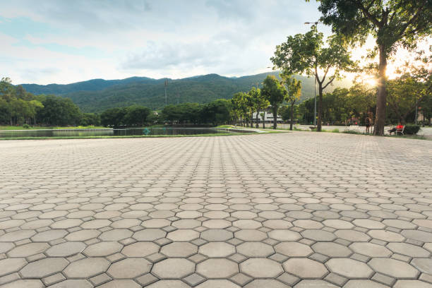 Best Decorative Driveway Pavers  in Kent City, MI